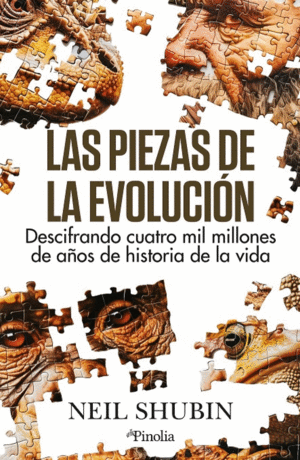 LAS PIEZAS DE LA EVOLUCIN